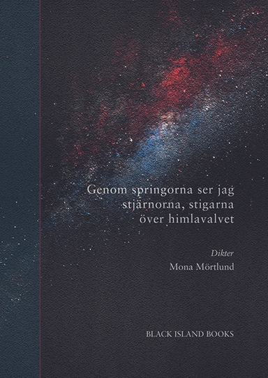 Genom springorna ser jag stjärnorna, stigarna över himlavalvet; Mona Mörtlund; 2024