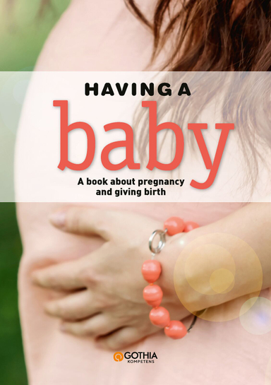 Having a baby : a book about pregnancy and giving birth; Hanne Fjellvang, Linn Richter; 2019