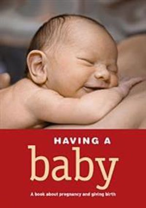 Having a baby : a book about pregnancy, childbirth and giving birth (Vänta barn); Ulla Björklund; 2012