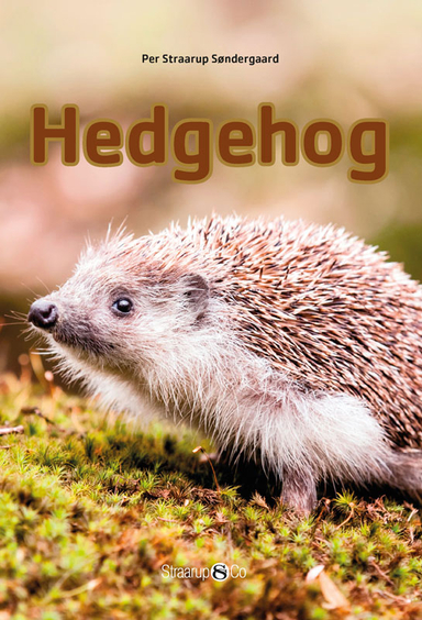 Hedgehog; Per Straarup Søndergaard; 2018