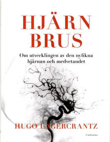 Hjärnbrus : om utvecklingen av den nyfikna hjärnan och medvetandet; Hugo Lagercrantz; 2013