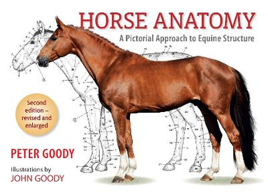 Horse Anatomy;  Peter Goody; 2001