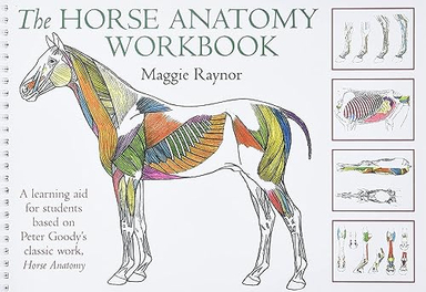 Horse Anatomy Workbook; Maggie Raynor; 2006