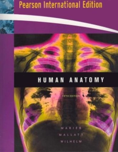 Human anatomy; Elaine Nicpon Marieb, Jon Mallatt, Patricia Brady Wilhelm; 2008