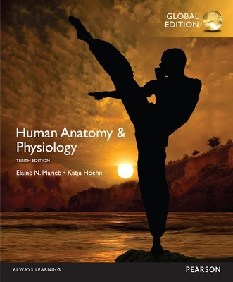 Human anatomy & physiology; Elaine Nicpon Marieb; 2016