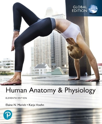 Human Anatomy & Physiology, Global Edition; Elaine Marieb, Katja Hoehn; 2019