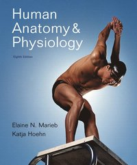 Human Anatomy & PhysiologyAlternative Etext Formats; Elaine Nicpon Marieb, Katja Hoehn; 2008