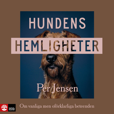 Hundens hemligheter : om vanliga men oförklarliga beteenden; Per Jensen; 2023