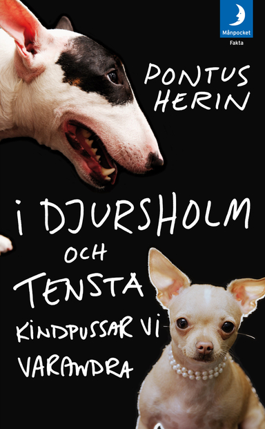 I Djursholm och Tensta kindpussar vi varandra; Pontus Herin; 2008