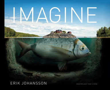 Imagine (Engelsk utgåva); Erik Johansson, Göran Segeholm; 2016