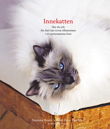 Innekatten : hur du och din katt kan trivas tillsammans i ert gemensamma hem; Susanna Rosén; 2017