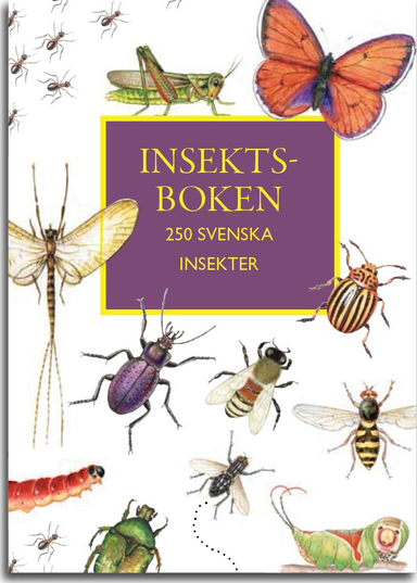 Insektboken : 250 svenska insekter; Torkel Hagström; 2020