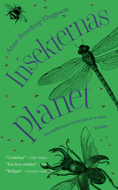 Insekternas planet; Anne Sverdrup-Thygeson; 2020