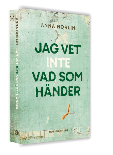 Jag vet inte vad som händer; Anna Norlin; 2017