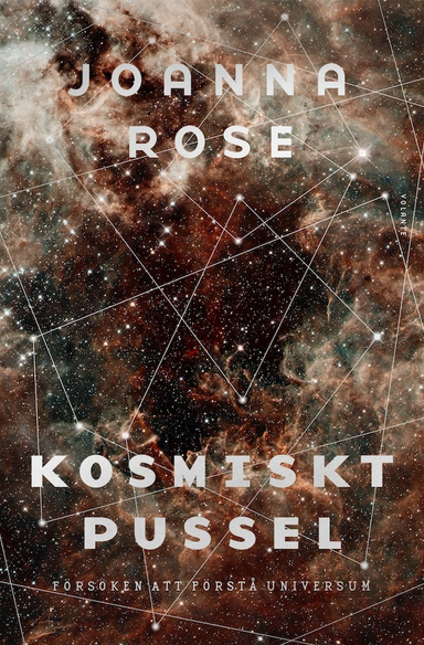 Kosmiskt pussel : försöken att förstå universum; Joanna Rose; 2017