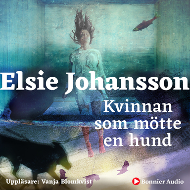 Kvinnan som mötte en hund; Elsie Johansson; 2019