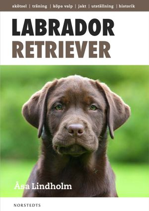 Labrador retriever : det mesta du behöver veta om din hund; Åsa Lindholm; 2011