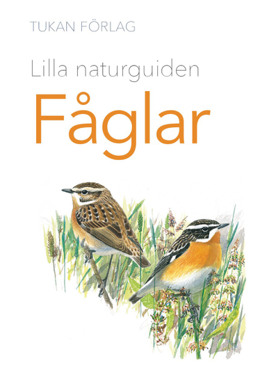 Lilla naturguiden : Fåglar; Mikael Svensson; 2024