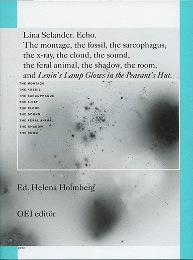 Lina Selander. Echo.; Trond Lundemo, Cecilia Grönberg, Kim West, Solveig Jülich, Frans Josef Petersson, Magnus Haglund, Vendela Fredricson, Magnus Bremmer; 2013