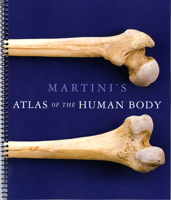 Martini's Atlas of the Human Body (ME Component); Frederic H Martini; 2011