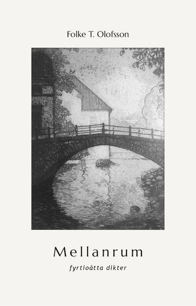 Mellanrum; Folke T. Olofsson; 2019