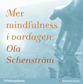 Mer mindfulness i vardagen; Ola Schenström; 2010