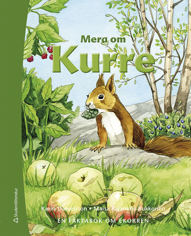 Mera om Kurre; Karin Danielsson; 2020