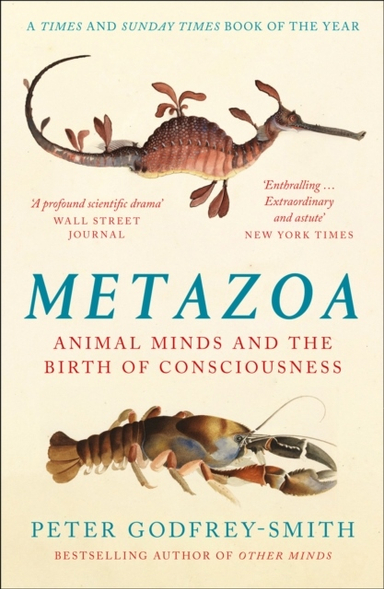 Metazoa; Peter Godfrey-Smith; 2021