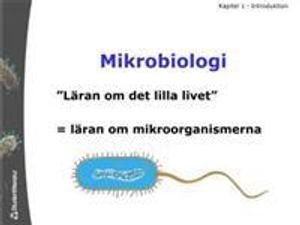 Mikrobiologi för gymnasieskolan - OH-material; Linda Ekenstierna; 2009