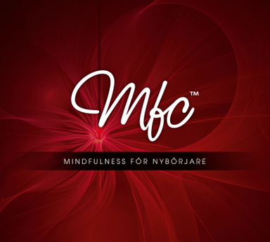 Mindfulness för nybörjare; Ola Schenström; 2007