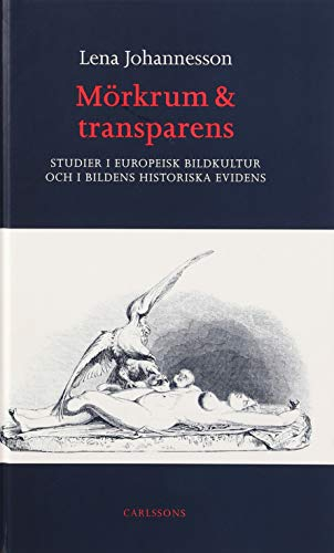 Mörkrum och transparens; Lena Johannesson; 2001