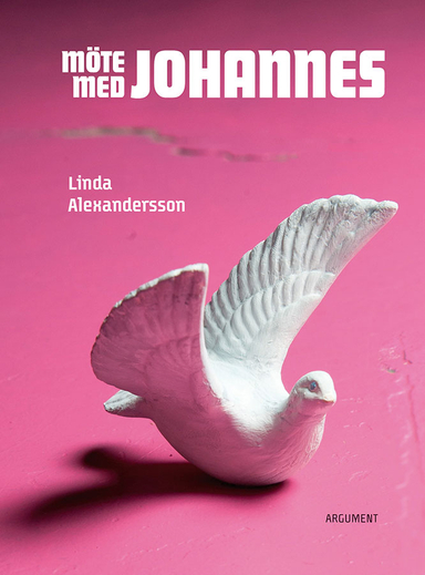 Möte med Johannes; Linda Alexandersson; 2014