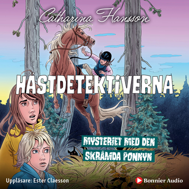 Mysteriet med den skrämda ponnyn; Catharina Hansson; 2021