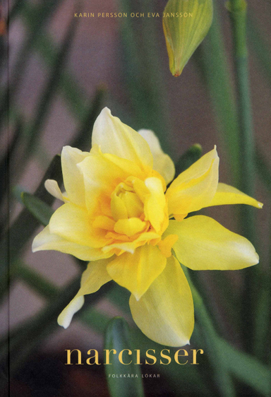 Narcisser : folkkära lökar; Karin Persson, Eva Jansson; 2008