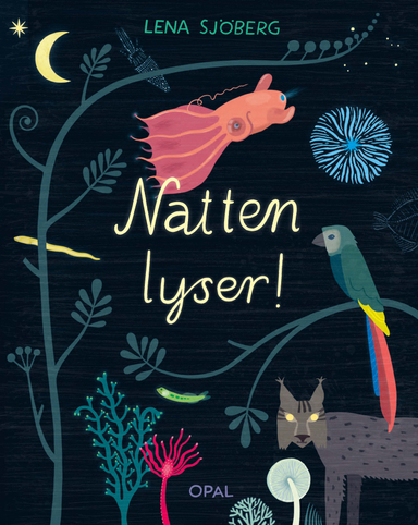 Natten lyser!; Lena Sjöberg; 2019