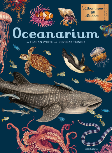 Oceanarium; Loveday Trinick; 2021