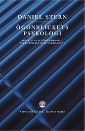 Ögonblickets psykologi : Om tid och förändring i psykoterapi och vardagsliv; Daniel N. Stern; 2005