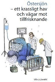 Östersjön : ett krassligt hav och vägar mot tillfrisknande; Ulla Li Zweifel; 2011