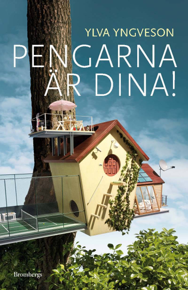 Pengarna är dina; Ylva Yngveson; 2012