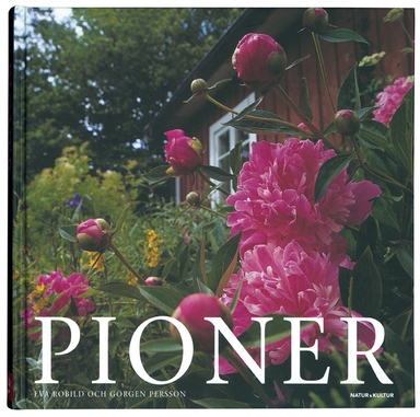 Pioner; Eva Robild; 2007