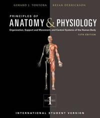 Principles of Anatomy and Physiology, 13th Edition, 2-Volume Set, Internati; Gerard J. Tortora, Bryan H. Derrickson; 2011