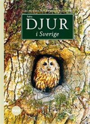 PULS Biologi 4-6 Djur i Sverige; Anders Mårtensson, Berth Andréasson; 1995