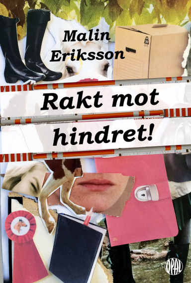 Rakt mot hindret!; Malin Eriksson; 2016