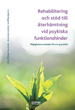 Rehabilitering och stöd till återhämtning vid psykiska funktionshinder : Möjlighetens metoder för en ny praktik; David Ershammar, David Rosenberg, Camilla Bogarve; 2018