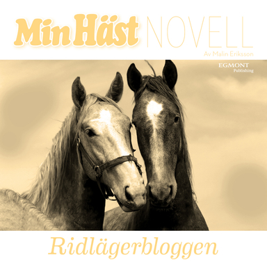 Ridlägerbloggen; Malin Eriksson; 2019