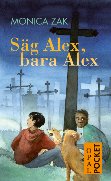 Säg Alex, bara Alex; Monica Zak; 2013