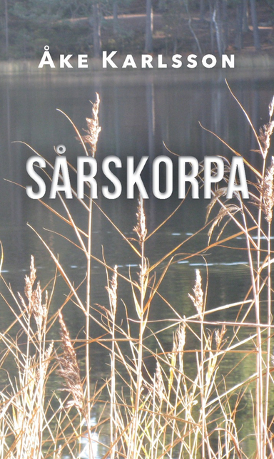 Sårskorpa; Åke Karlsson; 2020