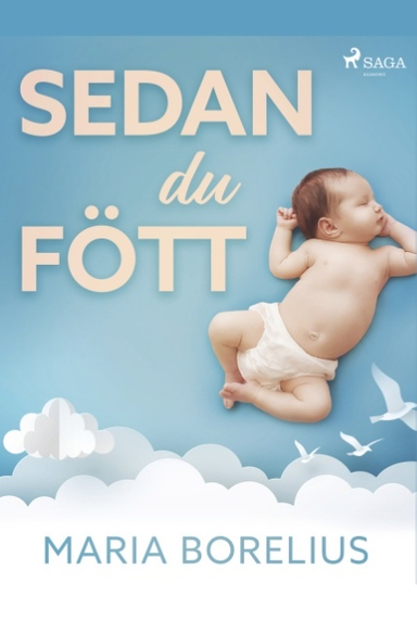 Sedan du fött : en bok om hur du tar hand om dig själv efter graviditet och förlossning; Maria Borelius; 2018