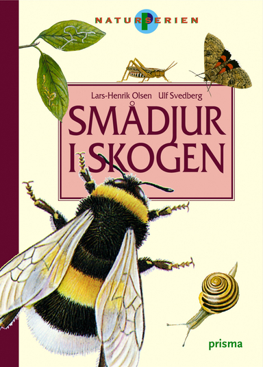 Smådjur i skogen; Lars-Henrik Olsen; 2004