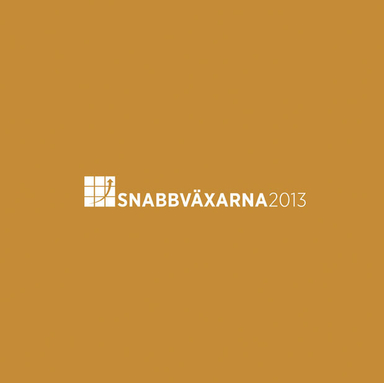 Snabbväxarna 2013; Lars Diethelm, Michael Engström, Ulric Svensson; 2013